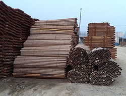 yp电子刮刮卡(中国)最新官网
